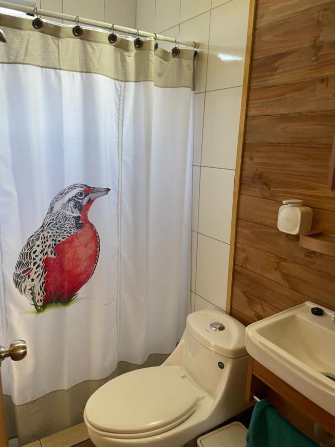 Cabana Loica Villa Pucón Kültér fotó